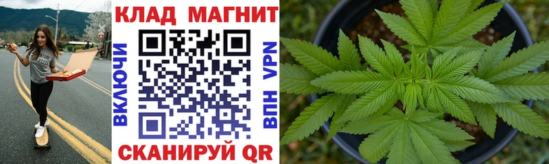 Магазин наркотиков Шуя КОКАИН  АМФ  СОЛЬ  ГАШ  Мефедрон  Конопля 