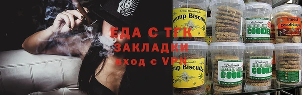 ГАЛЛЮЦИНОГЕННЫЕ ГРИБЫ Белокуриха