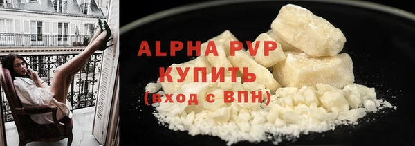 ГАЛЛЮЦИНОГЕННЫЕ ГРИБЫ Белокуриха