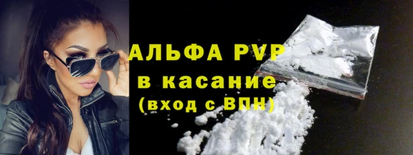 ГАЛЛЮЦИНОГЕННЫЕ ГРИБЫ Белокуриха