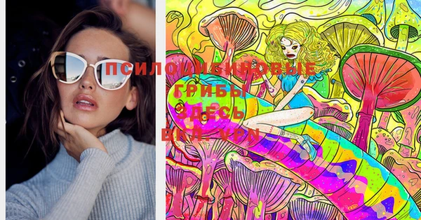 ГАЛЛЮЦИНОГЕННЫЕ ГРИБЫ Белокуриха